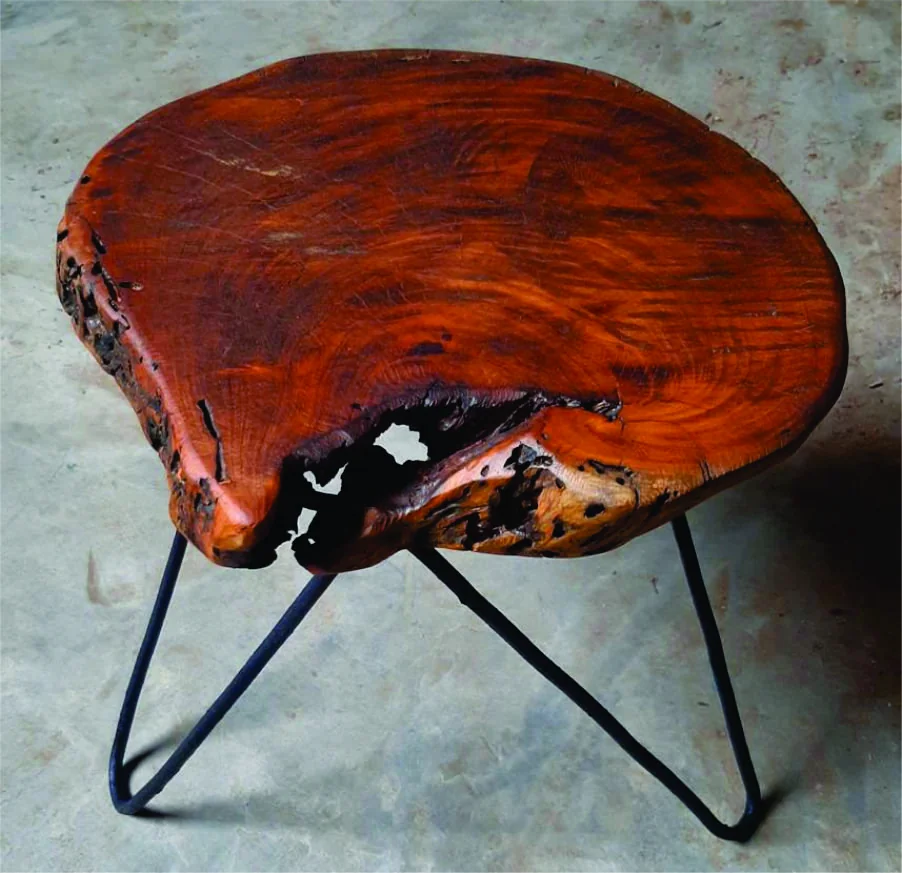 Obra de Arte 8